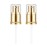 Chris.W 2Pack Foundation Pump Fit for Estee Lauder Double Wear Foundation DW Replacement Pump(Gold)