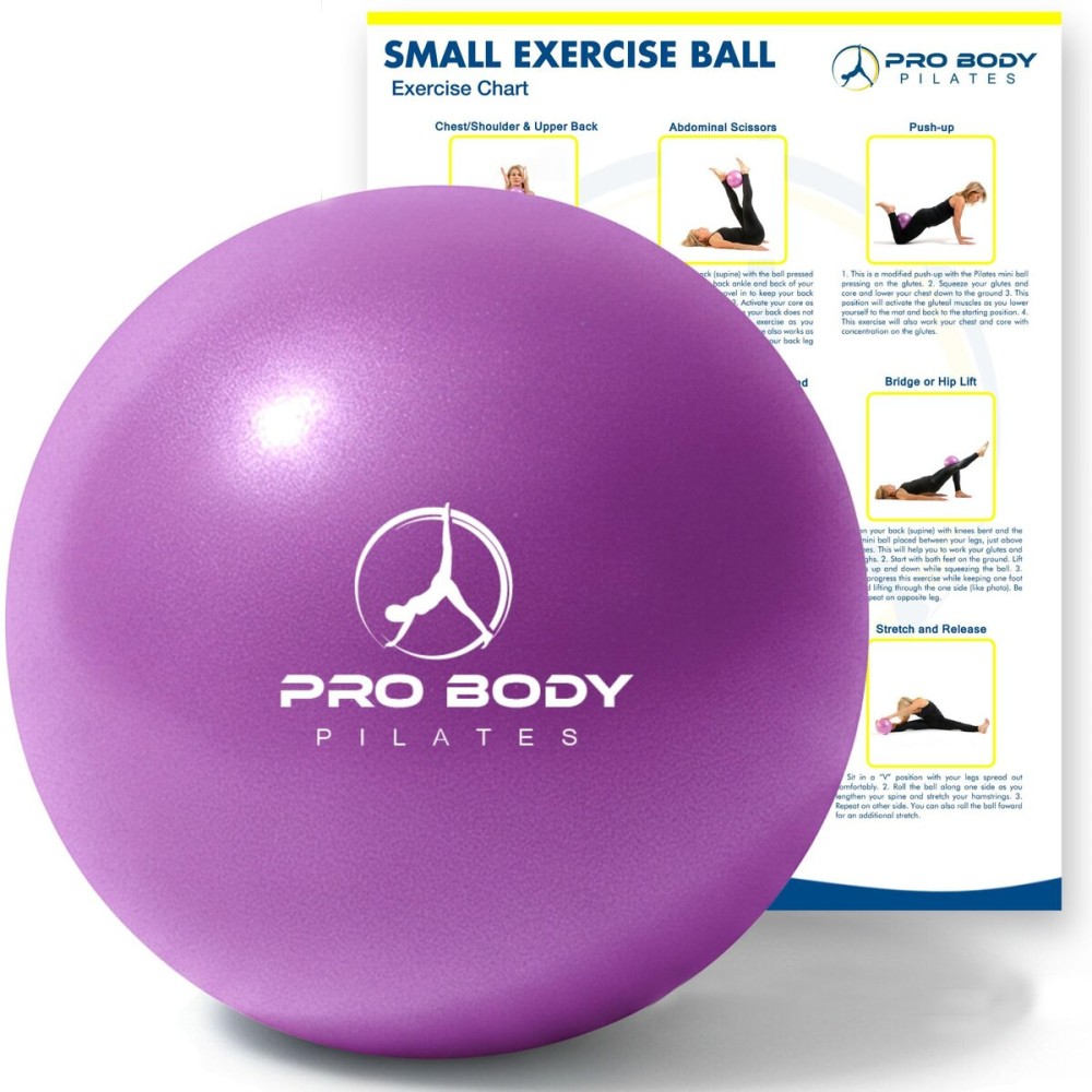 ProBody Pilates Small Exercise Ball - 9 Inch Workout Ball for Stability, Barre, Yoga, Core & Physical Therapy, Home Gym & Office Use (Purple)