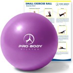 ProBody Pilates Small Exercise Ball - 9 Inch Workout Ball for Stability, Barre, Yoga, Core & Physical Therapy, Home Gym & Office Use (Purple)