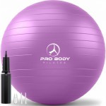 ProBody Pilates Exercise Ball - Multiple Sizes Gym Grade Balance Ball for Fitness, Workout, Pregnancy & Physical Therapy, Stability Yoga Ball Chair (Purple, 65cm)