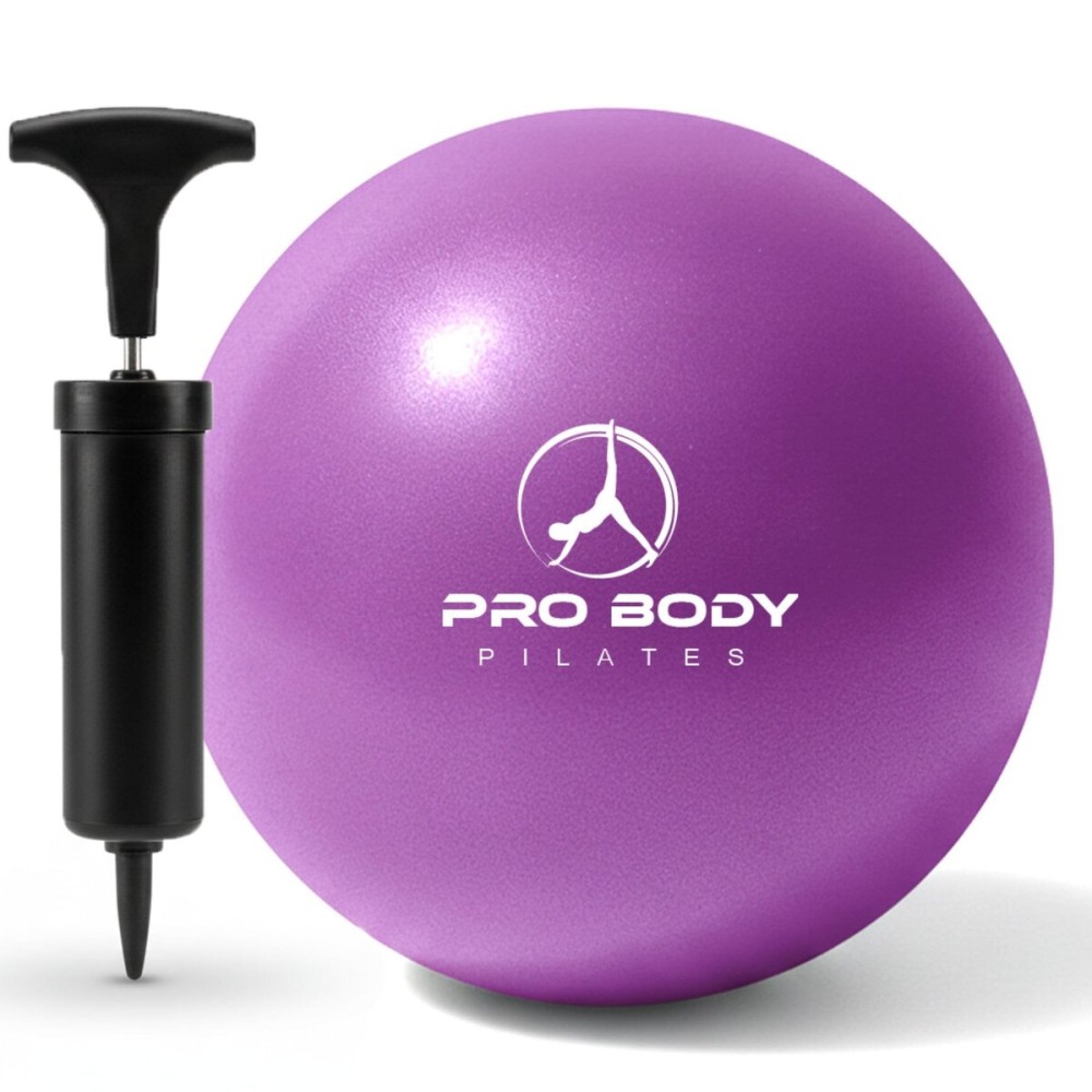 ProBody Pilates Small Exercise Ball with Pump - 9 Inch Workout Ball for Stability, Barre, Yoga, Core & Physical Therapy, Home Gym & Office Use (Purple)