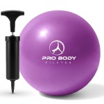ProBody Pilates Small Exercise Ball with Pump - 9 Inch Workout Ball for Stability, Barre, Yoga, Core & Physical Therapy, Home Gym & Office Use (Purple)