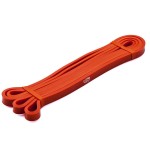 Fit Simplify Pull Up Assist Resistance Bands for Fitness, Physical Therapy, Stretching, Mobility and Exercise