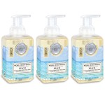 Michel Design Works Foaming Hand Soap, 17.8 Ounce, Beach - 3-PACK