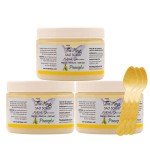 The Keys Salt Scrub -Sea Salt Scrub - Exfoliating Body Scrub with Wooden Spoon - Moisturizing Exfoliator for Hands, Foot, Bath, (12 Ounce (Pack of 3), Pineapple)