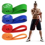 Fit Simplify Pull Up Assist Resistance Bands for Fitness, Physical Therapy, Stretching, Mobility and Exercise
