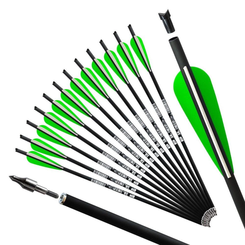 REEGOX 20 inch Crossbow Bolts Bio with 4-Inch Vanes(Pack of 12)