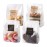LOKQING Cellophane Treat Bags Cookie bags for Packaging Clear Gift Bag with Stickers for Cookies,Candy,Chocolates(Fog,9x3.3inch)