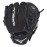Mizuno GPP1000Y3 Youth (Ages 3-6) Prospect Series PowerClose Baseball Gloves, 10, Right Hand Throw, Black Tartan Flex Web