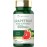 Carlyle Grapefruit Seed Extract | 500 mg | 120 Capsules | Maximum Strength | Non-GMO, Gluten Free
