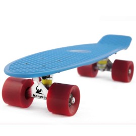 Skateboards Beginners 22 inch Mini Cruiser Girl Skateboard for Kids Boys Youth Beginners Child Toddler Teenagers Adults Dog (Blue Red)