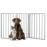 Pet Gate - 3-Panel Indoor Foldable Dog Fence for Stairs, Hallways, or Doorways - 54x24-Inch Retractable Wood Freestanding Dog Gates by PETMAKER (Gray)