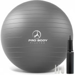 ProBody Pilates Yoga Ball - Fresh Colors Exercise Ball for Stability, Pregnancy, Workout, Physical Therapy & Birthing, Balance Ball Chair (Slate, 65 cm)