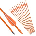 NIKA ARCHERY Fiberglass Arrows Youth Kids Practise Recurve Bows Compound Bow Shooting 12 pcs 24 inch Shafts