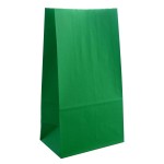 Partay Shenanigans Party Favor Bags - 50 Pack Kraft Paper Goodie Gift Lunch Treat Bags and Party Supplies for Theme Kids Birthday, St Patrick\'s Day, Christmas - 5x3x9 (Green)