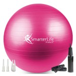 SmarterLife Exercise Ball Yoga Ball for Fitness, Balance, Stability, or Pregnancy, Gym Ball for Core Workout, Physical Therapy, Yoga Ball Chair for Office, Anti-Slip Anti-Burst (65 cm, Fuchsia)