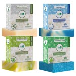 360 Feel Fresh Bar Soap Set - Made in the USA - Castile Handmade All Natural Cold Processed - Infused 4 Refreshing Scents Aloe Vera, Cotton Blossom, Spring Scrub, & Cool Water - (5oz, 4-Pack)