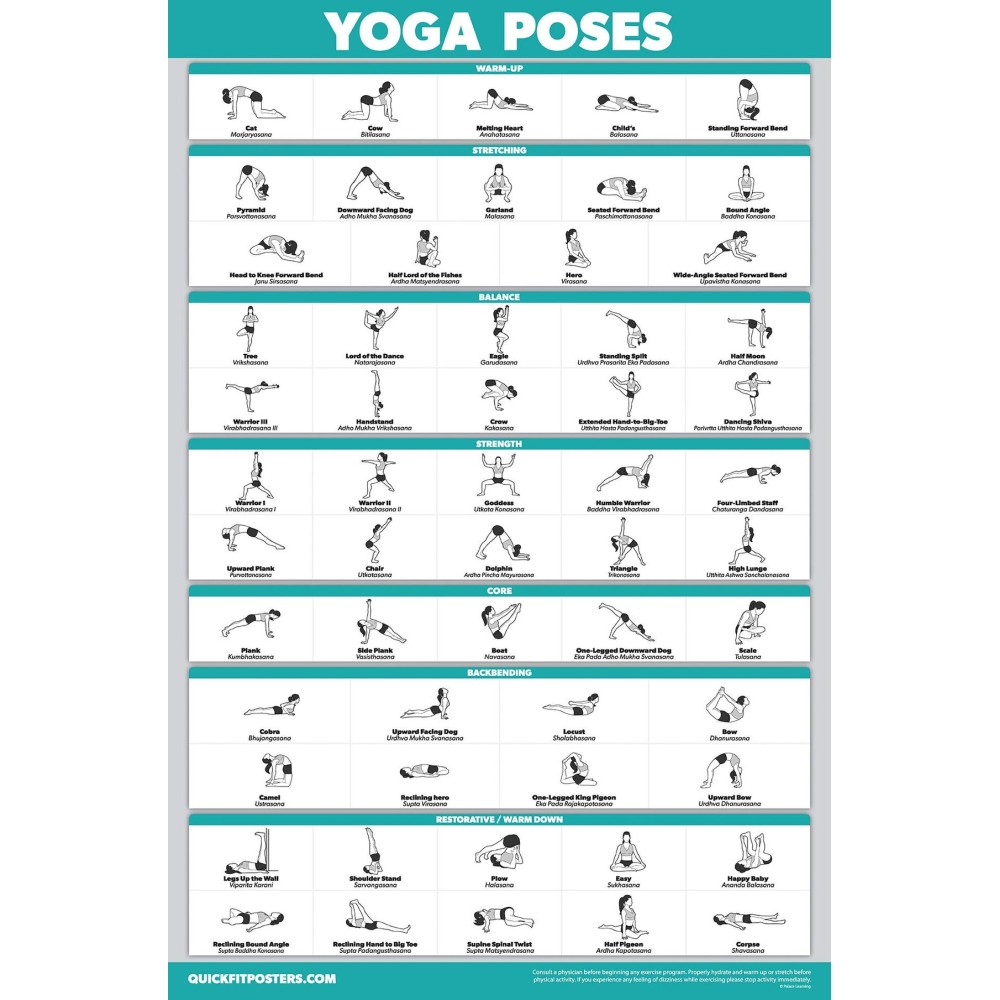 Palace Learning QuickFit Yoga Position Exercise Poster - Yoga Asana Poses Chart - Laminated, 18 x 24