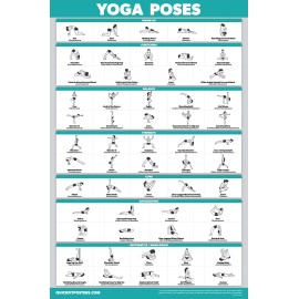 Palace Learning QuickFit Yoga Position Exercise Poster - Yoga Asana Poses Chart - Laminated, 18 x 24