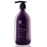 Luseta Purple Conditioner for Colored, Grey, Blonde & Dry/Damaged Hair - Women\'s Sulfate & Paraben Free, 16.9oz