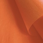 Colors of Rainbow Gift Wrapping Tissue Paper (96 Sheets, 20 Inch x 14.5 Inch) for Gift Bags Gift Boxes and Gift Baskets Packaging Baby Shower Bridal Shower Craft Project (Orange)