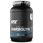 EFX Sports Karbolyn Fuel | Fast-Absorbing Carbohydrate Powder | Carb Load, Sustained Energy, Quick Recovery | Stimulant Free | 36 Servings (Blueberry Lemonade)