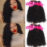 Hermosa 10A Brazilian Curly Hair 3 Bundles Curly Weave Human Hair Unprocessed Brazilian Virgin Hair Black Color 10 12 12 inch