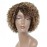 HUA Short Curly Human Hair Wigs for Black Women P4/27/30 Short Curly Wigs for African American Glueless Human Hair Wigs