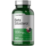 Horbach Beta Sitosterol 1200mg | 240 Softgel Capsules | Mega Strength | Plant Sterols Complex | Non-GMO, Gluten Free Supplement