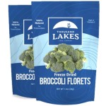 Thousand Lakes Freeze Dried Vegetables - Broccoli Florets 2-pack 1.2 ounces (2.4 ounces total) | 100% Florets - No Stems | No Salt Added