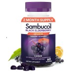Sambucol Black Elderberry Gummies - Elderberry with Zinc and Vitamin C for Adults, Sambucus Gummies, Immune Support - 60 Count