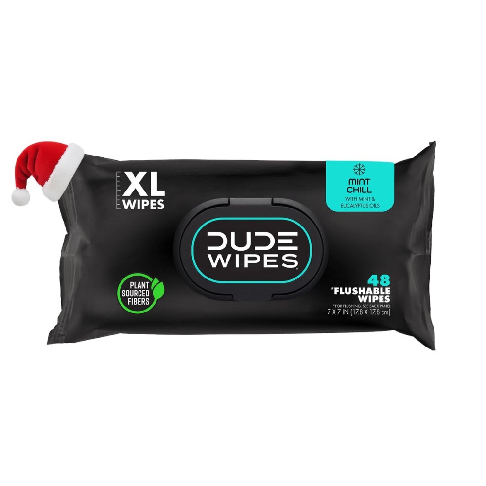DUDE Wipes - Flushable Wipes Stocking Stuffers - 1 Pack, 48 Count - Mint Chill - Vitamin-E, Aloe, Eucalyptus & Tea Tree Oils - Septic and Sewer Safe