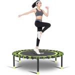 Newan 40\'\' Silent Fitness Mini Trampoline - Indoor Rebounder for Adults - Best Urban Cardio Jump Fitness Workout Trainer, Covered Bungee Rope System - Max Limit 330 lbs