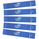 Fit Simplify Exercise Resistance Loop Bands, Set of 5