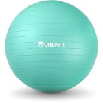 URBNFit Exercise Ball - Yoga Ball in Multiple Sizes for Yoga, Pilates, Pregnancy, Stability - Anti-Burst Swiss Balance Ball w/Quick Pump - Office Ball Chair for Home and Gym - 30 Inch - Teal