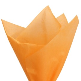 PMLAND 100 Sheets Premium Pastel Light Orange Color Tissue Wrapping Paper Bulk 20 x 15 Inches for Gift Bags Boxes Flowers Packaging Crafts DIY Art Projects and Party Decorations
