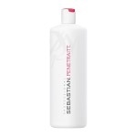 Sebastian Professional Penetraitt Conditioner | Strengthening & Repair with Deep Moisturizing | For Damaged & Colored Hair | 33.8 fl oz
