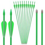 GPP 12 PK 28 Fiberglass Archery Target Arrows - Practice Arrow or Youth Arrow for Recurve Bow, Green