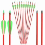 GPP 12 PK 28 Fiberglass Archery Target Arrows - Practice Arrow or Youth Arrow for Recurve Bow, Red