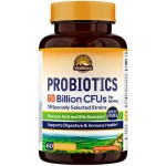Vitalitown Probiotics + Prebiotics | 60 Billion CFUs 19 Strains | 60 Delayed Release Veg Caps | Shelf Stable, Prebiotics and Probiotics | Digestive Health, Immune Health | Vegan, Non-GMO, No Dairy