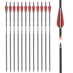 28 inch Carbon Arrow Hunting Arrows with 100 Grain Removable Tips for Archery Compound & Recurve & Traditional Bow Practice Shooting (Pack of 12)