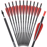 Carbon Crossbow Bolts 20 Inch Hunting Archery Arrows with 4 Vanes Replaced Arrowhead Tip (Pack of 12)