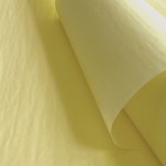 Colors of Rainbow Gift Wrapping Tissue Paper (96 Sheets, 20 Inch x 14.5 Inch) for Gift Bags Gift Boxes and Gift Baskets Packaging Baby Shower Bridal Shower Craft Project (Light Yellow)