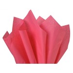 Forest Green Tissue Paper Squares, Bulk 24 Sheets, Premium Gift Wrap and Art Supplies for Birthdays, Holidays, or Presents by Feronia packaging, Large 20 Inch x 26 Inch