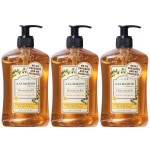 A LA MAISON de Provence Liquid Soap Honeysuckle, 16.9 Fl Oz (Pack of 3)