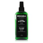 Brickell Men\'s Texturizing Sea Salt Spray for Men, Natural & Organic, Alcohol-Free, Lifts and Texturizes Hair for a Beach or Surfer Hair Style, 6 Ounce