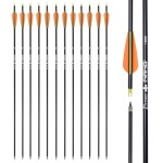 28 inch Carbon Arrow Hunting Arrows with 100 Grain Removable Tips for Archery Compound & Recurve & Traditional Bow Practice Shooting (Pack of 12)