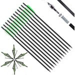 IRQ 20 Inch Crossbow Bolts and Crossbow Broadheads Set, Carbon Crossbow Arrows for Hunting and Outdoor Practice, 12 Green Arrows, 6 Broadheads(18 Pack)