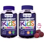 Feel Great Kids Elderberry Gummies with Zinc and Vitamin C (2-Pack) | Immune Support Sambucus Elderberry | Berry Flavored Vegan Multivitamins | 90 Count
