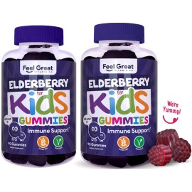 Feel Great Kids Elderberry Gummies with Zinc and Vitamin C (2-Pack) | Immune Support Sambucus Elderberry | Berry Flavored Vegan Multivitamins | 90 Count